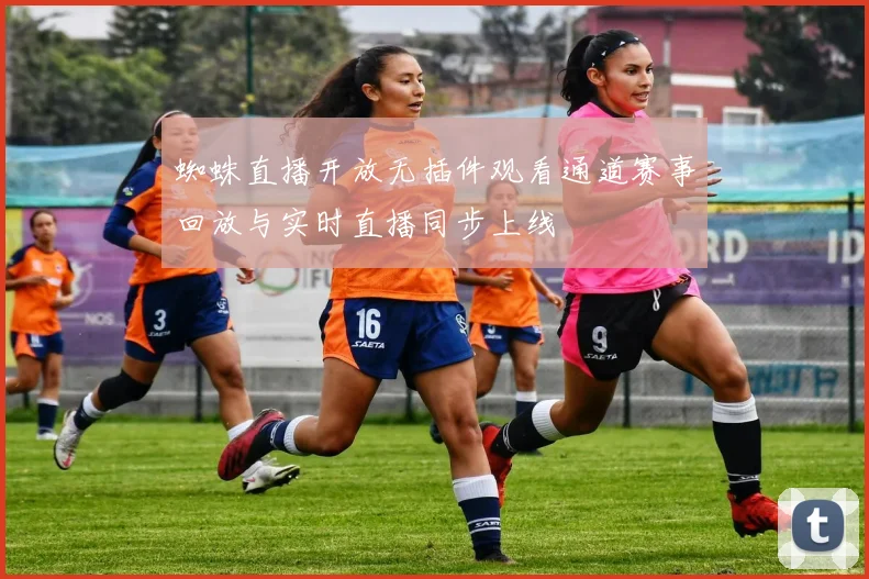 蜘蛛直播开放无插件观看通道赛事回放与实时直播同步上线