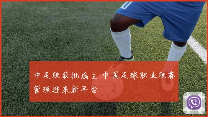 中足联获批成立 中国足球职业联赛管理迎来新平台